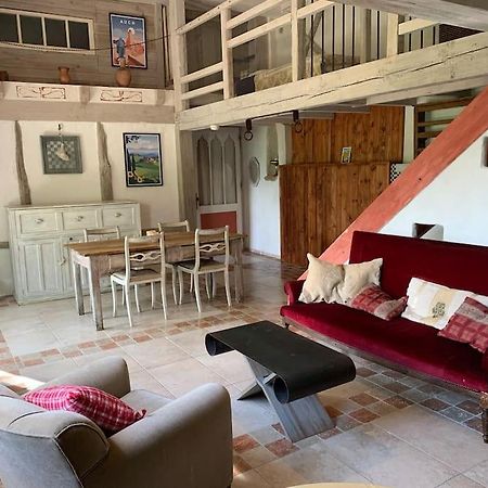 Le Tapis Vert - Loft Avec Jardin Auch Exterior photo