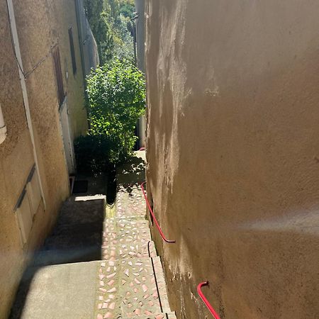 Le Tapis Vert - Loft Avec Jardin Auch Exterior photo